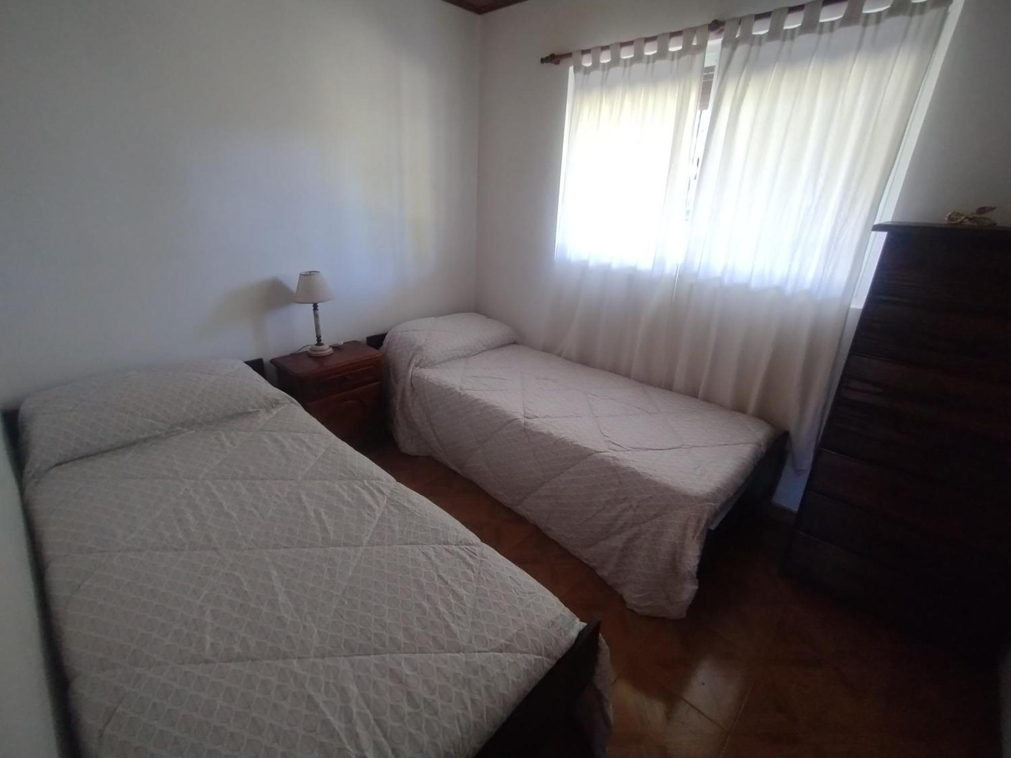 Palmeras Villa Lia