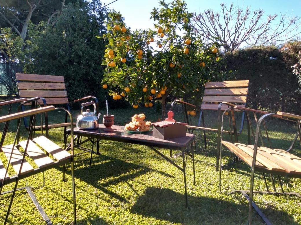 Palmeras * Villa Lía